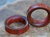 pg_005.jpg