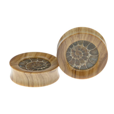1+1/2" Ammonite Inlay 1+1/2" Ammonite Inlay