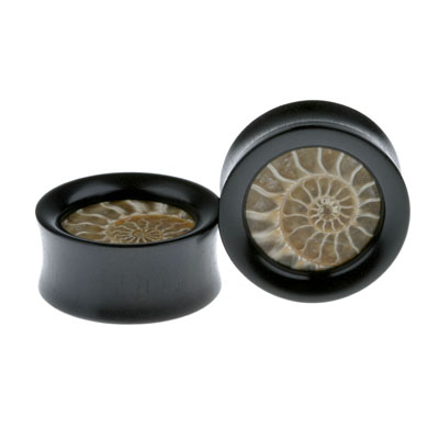 1" Ammonite Inlay 1" Ammonite Inlay