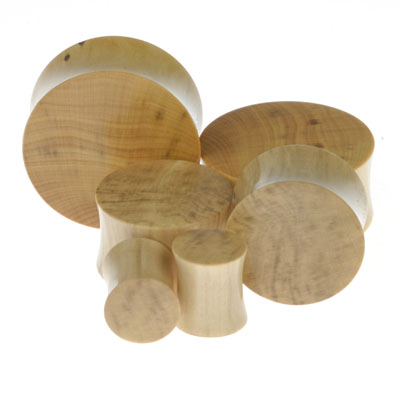 Boxwood Plugs Boxwood Plugs